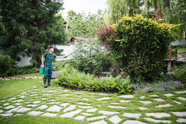 Best Local Pest Control Services  in Fairfax, VA