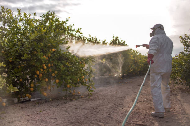 Best Emergency Pest Control  in Fairfax, VA