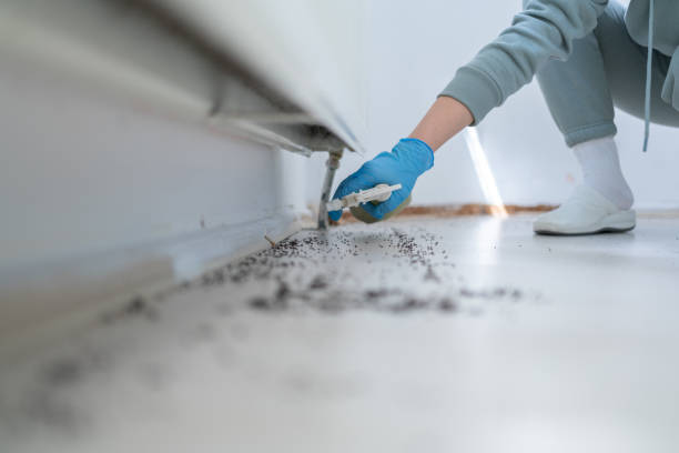Pest Control for Restaurants in Fairfax, VA